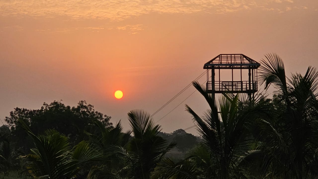 Nature view of the Zip Line