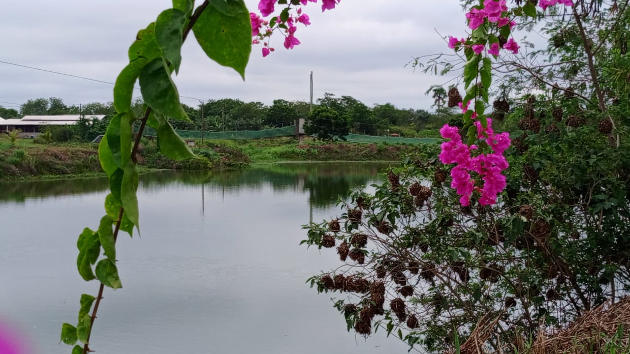 Tour and a playground